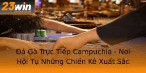 A Ga Truc Tiep Campuchia Noi Hoi Tu Nhung Chien Ke Xuat Sac