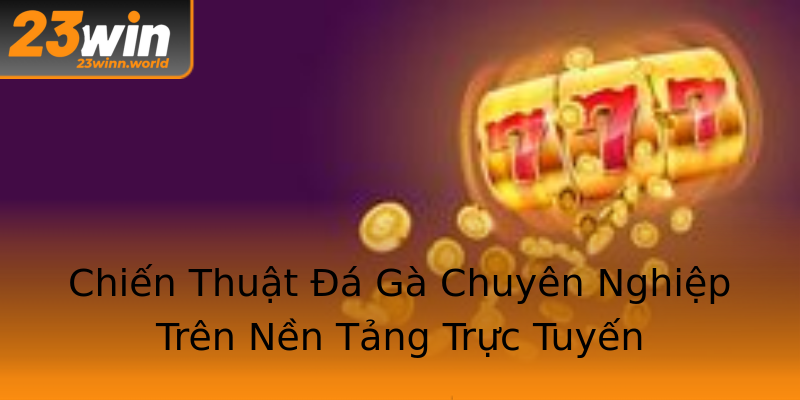 Chiến Thuật Đá Gà Chuyên Nghiệp Trên Nền Tảng Trực Tuyến Chiến Thuật Đá Gà Chuyên Nghiệp Trên Nền Tảng Trực Tuyến