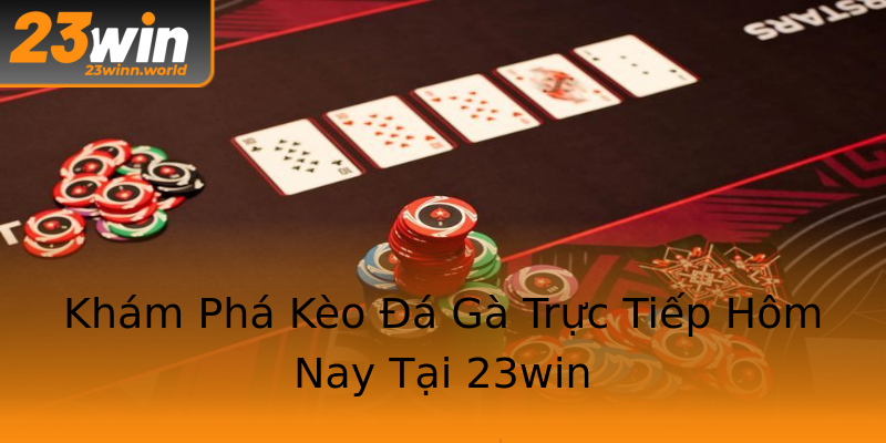 Khám Phá Kèo Đá Gà Trực Tiếp Hôm Nay Tại 23win Khám Phá Kèo Đá Gà Trực Tiếp Hôm Nay Tại 23win