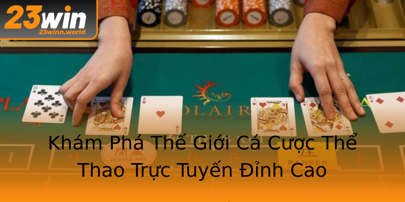 Khám Phá Thế Giới Cá Cược Thể Thao Trực Tuyến Đỉnh Cao Khám Phá Thế Giới Cá Cược Thể Thao Trực Tuyến Đỉnh Cao