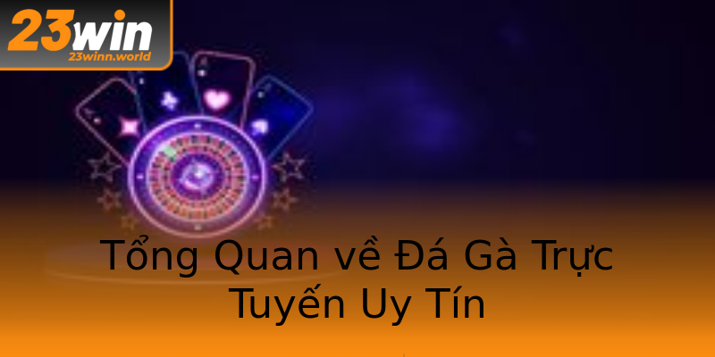 Tổng Quan về Đá Gà Trực Tuyến Uy Tín Tổng Quan về Đá Gà Trực Tuyến Uy Tín