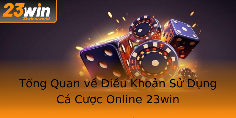 Tổng Quan về Điều Khoản Sử Dụng Cá Cược Online 23win Tổng Quan về Điều Khoản Sử Dụng Cá Cược Online 23win
