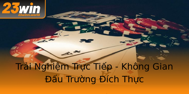 Trải Nghiệm Trực Tiếp - Không Gian Đấu Trường Đích Thực Trải Nghiệm Trực Tiếp - Không Gian Đấu Trường Đích Thực